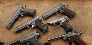 Salvini e lobby delle armi, Daniela Sbrollini: “difesa fai da te non risolve i problemi”