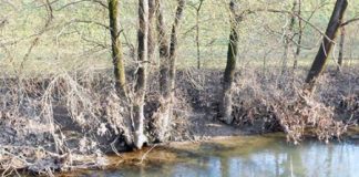 Al via i lavori della passerella ciclopedonale sulla roggia Tribolo nell’ambito dell’opera di completamento del collegamento della pista tra Torri di Quartesolo e Vicenza