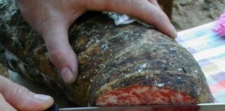 “Sagra della Sopressa a Valli del Pasubio”: non vorrete certo perderne una fetta?