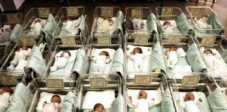 Mobilità temporanea: la FIALS contraria all’accordo alla Ulss 8 di Vicenza