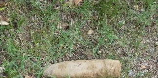 Parco Querini, ordigno bellico prelevato dagli artificieri. Claudio Cicero: “non avvicinatevi”