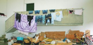 Ulivi, vigne e alberi da frutta, Il Fatto Quotidiano: Il caporalato è anche a Nord