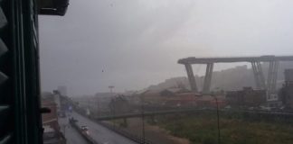 Crollo ponte, dal Veneto pronte a partire unità cinofile e Soccorso Alpino