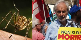 West Nile Disease, Giovanni Rolando: sindaco Rucco con dirigenti malattie infettive Ulss 8 riferisca in aula su provvedimenti presi