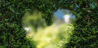 L?ecosostenibilità è di casa: l?82% degli italiani si dichiara attento all?ambiente