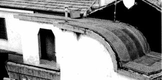 Altro guano sulla Fondazione Roi