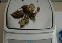 Zanè, denunciate due persone per detenzione ai fini di spaccio di Marijuana