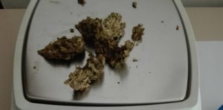 Zanè, denunciate due persone per detenzione ai fini di spaccio di Marijuana