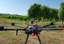 Un drone per la vendemmia, Confagricoltura: lo sperimentano 15 aziende vitivinicole di Vicenza e Verona