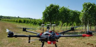 Un drone per la vendemmia, Confagricoltura: lo sperimentano 15 aziende vitivinicole di Vicenza e Verona