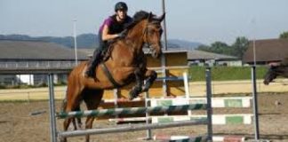 Cornedo Vicentino, nasce un centro equestre comunale aperto a tutti