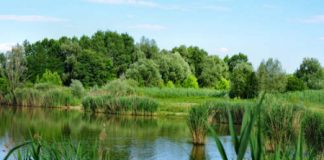 Oasi di Casale, Lucio Zoppello: “il Comune mette a disposizione della Procura un escavatore”