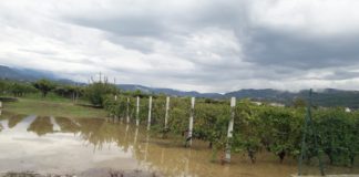 Distretto del Valpolicella martoriato dal maltempo: quasi 300 interventi nel veronese e oltre 70 squadre di volontari impegnati