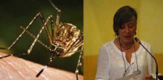 West Nile, Bartelle (M5S): “Altro decesso, servono subito molti più soldi per affrontare l’emergenza sanitaria”