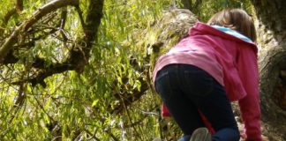 Asili alternativi presi d’assalto dai no vax, il reportage de laRepubblica dalla “collina di Valmarana (Altavilla) dove abita Roberto Baggio”