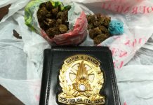 Montecchio Maggiore, arrestato spacciatore di droga in flagranza di reato