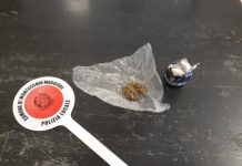 Montecchio Maggiore, la Polizia Locale rinviene e sequestra marijuana nascosta dentro ad un chiusino