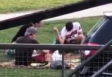 Gian Luca Deghenghi (M.I.S. Vicenza): Rucco, stop a proclami su lotta al degrado. Priorità: Campo Marzo e parcheggio ospedale