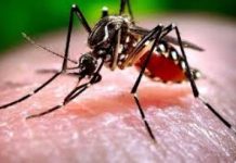 West Nile, questionario Regione Veneto. Coletto: “Troppe fake news, risposta migliore alla paura è la verità in parole semplici”