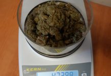 Schio, arrestato spacciatore armato di coltello e pistola giocattolo