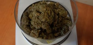 Schio, arrestato spacciatore armato di coltello e pistola giocattolo