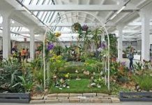 Schio, Mostra Mercato Giardino Jacquard, un fine settimana dedicato alla cultura del verde