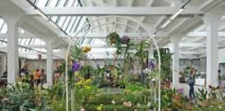 Schio, Mostra Mercato Giardino Jacquard, un fine settimana dedicato alla cultura del verde