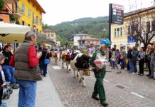 Festa Contadina a Valli del Pasubio: torna la fiera dell’agricoltura di montagna e l’Agri Street Food