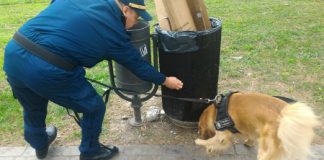 Campo Marzo, l’esordio di Buddy con ritrovamento di droga in diretta. Rucco: “è di supporto”. Franco: “per la Grande Città”