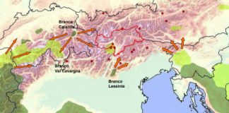 Lupo, Cristina Guarda: “riconosco solo i ?lupi? politici della propaganda”