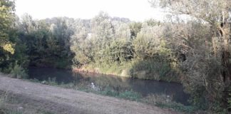 Siringhe al parco Retrone, Raffaele Colombara: “Rucco troppo preoccupato dalla percezione mediatico-elettorale”