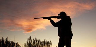 Caccia, Zanoni (Pd) all’attacco di Valdegamberi e solidarietà alle guardie provinciali vicentine aggredite dai bracconieri