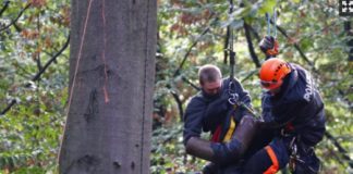 Foresta di Hambach, Bocciodromo di Vicenza: oggi ne parliamo con Jan a sei anni sono passati dall?inizio della sua occupazione