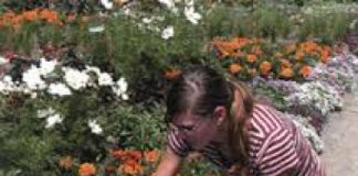 La psicologa Marzia Rocchetto racconta il percorso di una mamma che, dopo alcune difficoltà, è riuscita a conciliare lavoro e famiglia