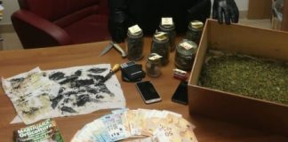 Arrestata coppia vicentina: erano i coltivatori e fornitori di marijuana per studenti