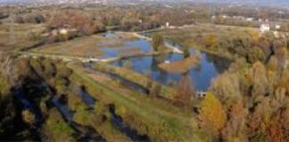 Dueville, domenica alle Risorgive del Bacchiglione si costruiscono mangiatoie per gli uccelli