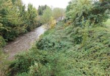 Comitato Marano Pulita: “Il letto e le sponde del Timonchio, a Marano, rimangono una foresta, malgrado promesse e buoni intenti”