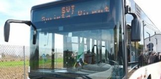 Svt, 17 moderni autobus per sostituire i più inquinanti: motore alimentato a metano e stop discriminazioni