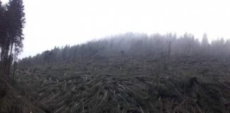 Maltempo in Veneto, Daniela Sbrollini (PD): il Veneto ha bisogno oggi di tutti, faremo la nostra parte