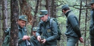 Forestali, i sindacati Cgil Cisl Uil e Cub alzano la voce contro la Regione