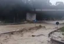 Arzignano, il Comune mette a disposizione un tecnico forestale per le zone colpite dal maltempo