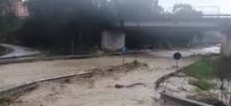 Arzignano, il Comune mette a disposizione un tecnico forestale per le zone colpite dal maltempo