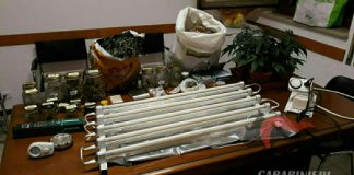 Piantagione di cannabis in soffitta, arrestato dai Carabinieri operaio 31enne di Brendola