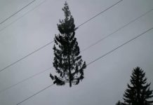 Danni maltempo: raccolta fondi degli Alpini di Vicenza, Ciambetti incontra Mattarella e Intesa Sanpaolo non applica la commissione