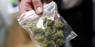 Montegalda, Carabineri di Longare segnalano alla prefettura di Vicenza due giovani italiani per detenzione marijuana ad uso personale