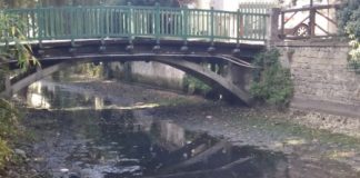 Seriola ancora senz’acqua al Giardino Salvi, dopo la denuncia di VicenzaPiù i consiglieri Pd interpellano il sindaco Rucco