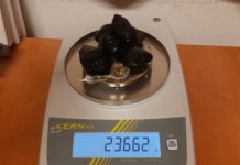 Schio, marijuana al parco pubblico di via Fogazzaro