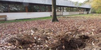 Scuola primaria 2 Giugno, al via la bonifica del giardino per eliminare qualsiasi rischio di contaminazione