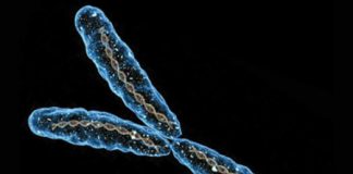 Scarpette rosse, salari e conti correnti: la violenza legata al cromosoma Y?