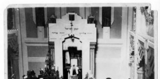 Cerco gli eredi di Tarantino, Renato l?’eroe sconosciuto